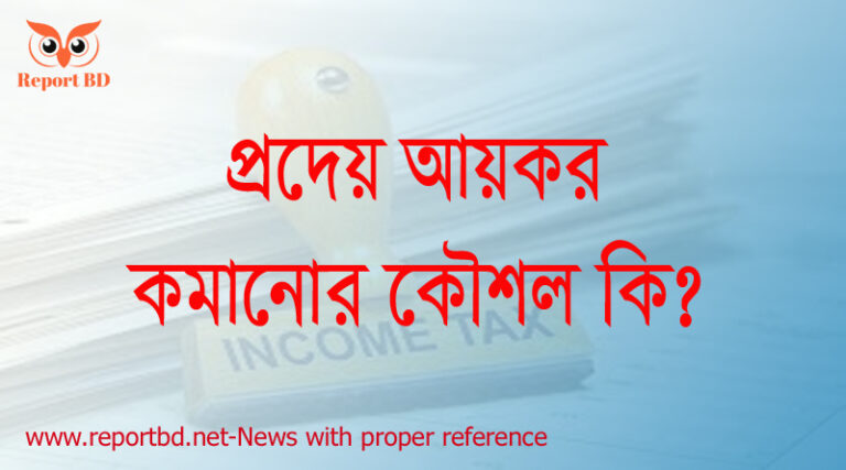 কিভাবে আয়কর কম দেয়া যায়?