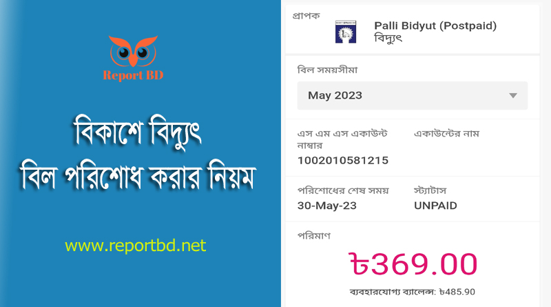 Palli Bidyut bill Payment by Bkash । বিকাশে বিদ্যুৎ বিল চেক করার নিয়ম দেখুন
