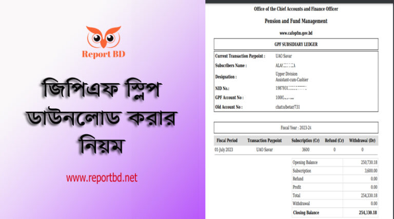 GPF slip download । জিপিএফ ব্যালেন্স চেক করার নিয়ম দেখুন