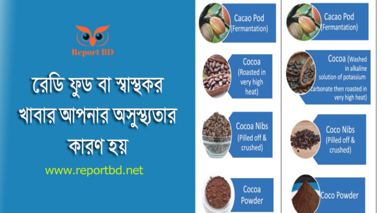 JK lifestyle pdf Download । ঔষধি গুণ সম্পন্ন যে খাবার গুলো নিয়মিত খাবেন