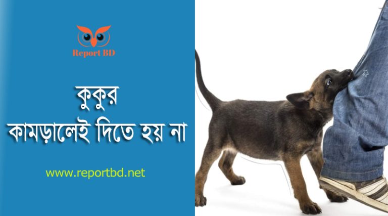 কুকুর কামড়ালে ভ্যাকসিন ২০২৪ । কুকুর কামড়ালেই কি জলাতঙ্ক হয়?