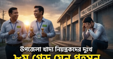 পদোন্নতিই যেন ‘শাস্তি’