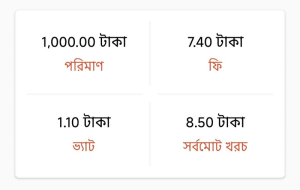 জটিলতা ও গ্রাহক ভোগান্তির নতুন চালচিত্র