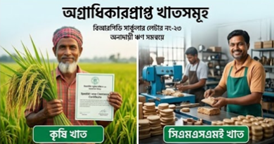 খেলাপি ঋণ কমাতে বাংলাদেশ ব্যাংকের বড় ছাড়