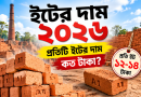 প্রতিটি ইটের দাম কত টাকা?