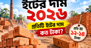 প্রতিটি ইটের দাম কত টাকা?