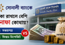 সোনালী ব্যাংকে টাকা রাখলে বেশি মুনাফা কোথায়