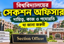 বিশ্ববিদ্যালয়ের ‘সেকশন অফিসার’ পদে কী কাজ করতে হয়?