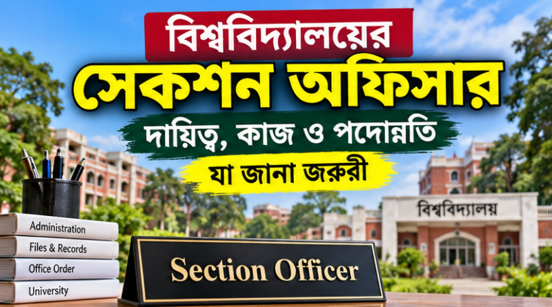 বিশ্ববিদ্যালয়ের ‘সেকশন অফিসার’ পদে কী কাজ করতে হয়?