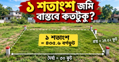 ১ শতাংশ জমি বাস্তবে কতটুকু?
