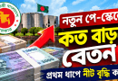 নতুন পে-স্কেলে প্রথম ধাপে কত বাড়বে বেতন