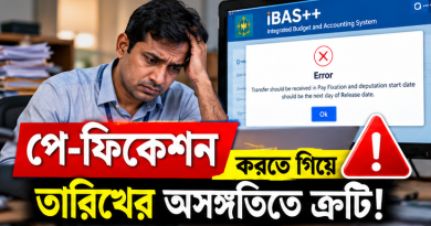 সমাধান কী? iBAS++-এর এরর মেসেজে আটকে সরকারি কর্মচারীরা