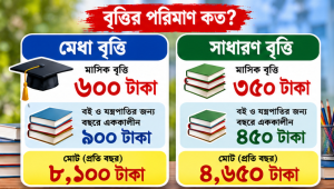 দুই বছর মিলবে আর্থিক সহায়তা, ব্যাংক হিসাবে টাকা পাঠাতে মানতে হবে যেসব নিয়ম