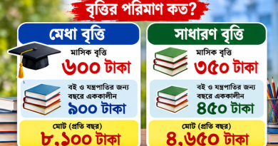 দুই বছর মিলবে আর্থিক সহায়তা, ব্যাংক হিসাবে টাকা পাঠাতে মানতে হবে যেসব নিয়ম