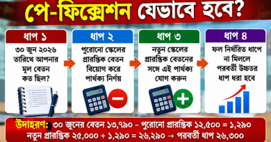 ১১–২০ গ্রেডের পে-ফিক্সেশন