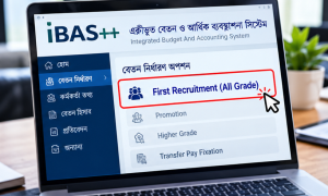নতুন সরকারি চাকরিজীবীদের বেতন নির্ধারণে আইবাস++-এর বিশেষ অপশন